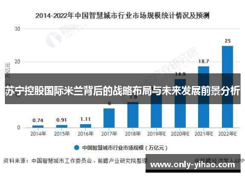 苏宁控股国际米兰背后的战略布局与未来发展前景分析