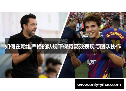 如何在哈维严格的队规下保持高效表现与团队协作
