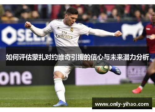 如何评估蒙扎对约维奇引援的信心与未来潜力分析