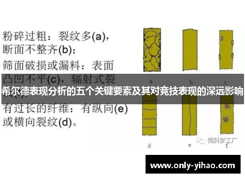 希尔德表现分析的五个关键要素及其对竞技表现的深远影响