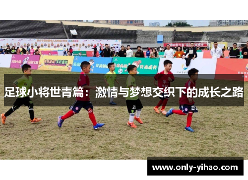 足球小将世青篇：激情与梦想交织下的成长之路