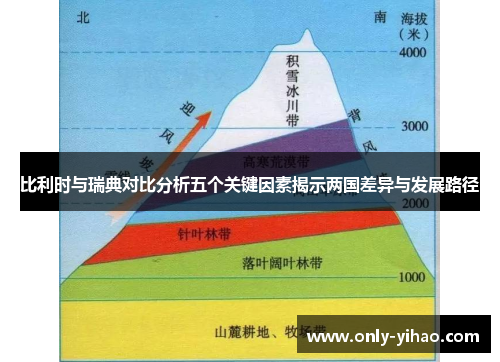 比利时与瑞典对比分析五个关键因素揭示两国差异与发展路径