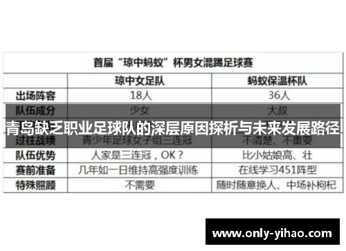 青岛缺乏职业足球队的深层原因探析与未来发展路径