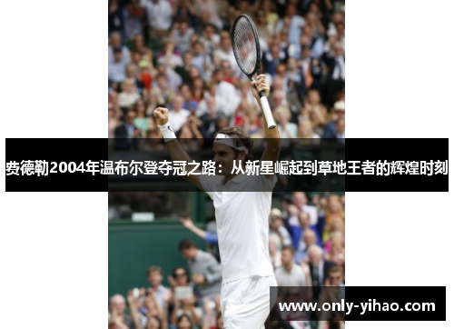费德勒2004年温布尔登夺冠之路：从新星崛起到草地王者的辉煌时刻