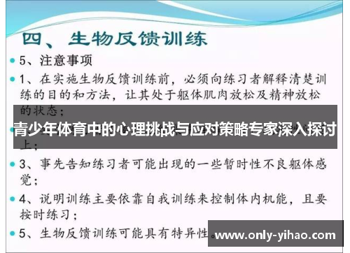 青少年体育中的心理挑战与应对策略专家深入探讨
